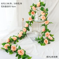 Топ 10 роз шампанского цвета