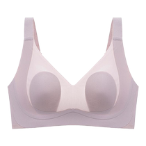 Catman Ice Silk Seamless Underwear Womens Push-up Big Breast Revealing Small Breast Summer Ultra-Thin Soft Support Rabbit Ears Bra