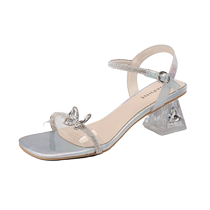 Daphne Silver Sandals Womens Summer Transparent High Heels 2024 New Thick Heel Strap with French Crystal