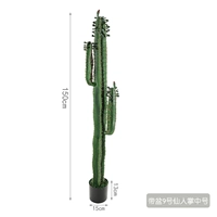 Принесите бассейн 9 сказочных ладонь среды