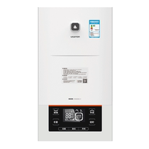 Ashington wall-mounted boiler first-level energy efficiency condenser heating gas water heater 24kw-L2414S 1618