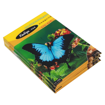 a4 color jet paper double-sided color jet paper paper single-sided matte color printer advertising resume thick printing paper A4 paper 128 grams leaflet 100 sheets inkjet printing A4 paper