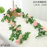 10 голов розового светло -розового