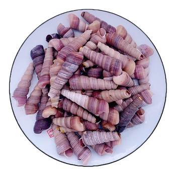 Fresh snails with tail removed and shipped directly from the place of origin