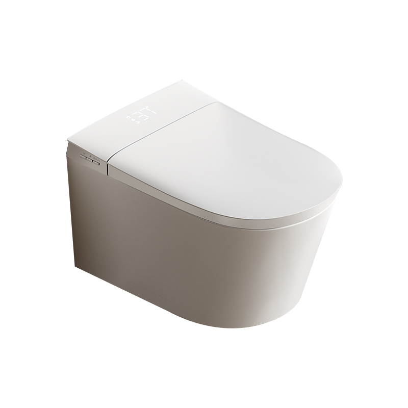 German Hansrapo wall-mounted smart toilet