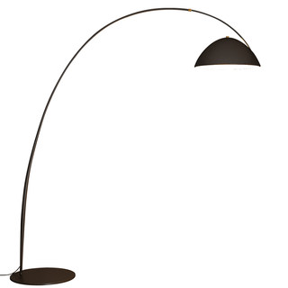 Full spectrum living room floor lamp fishing lamp ambient light