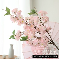 Си Чуань Ин Цянь Розовый