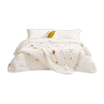 Luolai Home Textiles Couette pour Enfants Classe A 100% Soie Deux-en-Un Couette dhiver pour dortoir détudiants Quatre Saisons