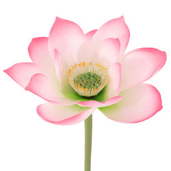 Artificial Lotus Flower, Lotus Pod, Lotus Leaf, Lotus Flower for Living Room Display, Single Fake Flower for Touch, Water Pool Decoration, Landscaping, Photography Props