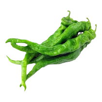 Spicy pepper seedlings high-yield spicy extra-large pepper seedlings screw pepper thin-skinned southern potted vegetable seedlings