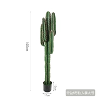 Принесите бассейн 5 сказочной ладони большой