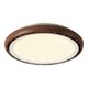 New Puri lamp bead eye protection leafless ceiling fan lamp
