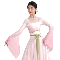 Shanrantang classical dance practice clothes gauze dance clothes womens elegant large swing skirt Chinese dance long-sleeved performance clothes spring and summer