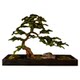High-end simulation welcome pine artificial tree landscaping hotel window