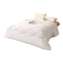 Hibaobao Australian wool quilt 100 pure wool quilt winter quilt thickened warm season imported cashmere quilt core