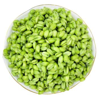 2025 fresh green wheat kernel fresh wheat kernel rice green wheat kernel