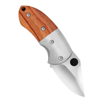 Multifunctional keychain knife foldable portable mini fruit knife stainless steel outdoor unboxing express knife