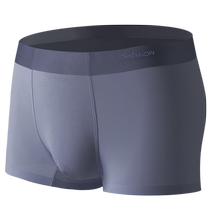 Catman Modal Mens Underwear Boys Pure Cotton Crotch Boxer Briefs Seamless Antibacterial Breathable Boxer Shorts Thin Section