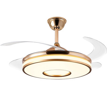 Chigo package installs full spectrum invisible fan lights