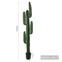 Принесите бассейн 6 сказочной ладони большой