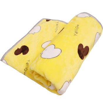 Coral velvet cats in winter warm dog blanket sleeping pad