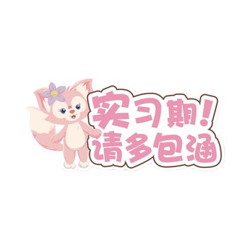 Magnetic stickers for novice female drivers | thousands of people purchased more