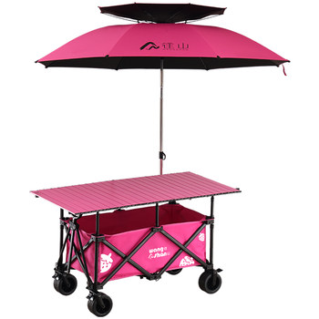 Large folding camping stall camper van