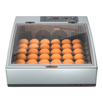 Machine Small Home Hatching Fully Automatic Smart Luding Eggs of Chicken Cockatoo Parrot Pigeon Goose-Lutin