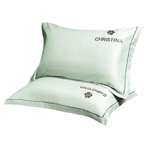 Washed Silk Ice Silk Pillowcase 2023 New Summer Single and Double Ice Silk 48x74 Pair Pillow Core Liner Cover