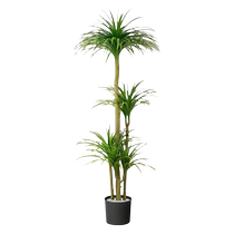 Dragon blood tree simulated green plant fake plant light luxury living room decorative tree indoor large potted floor-standing ornament simulated flower