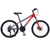 Phoenix childrens bicycle aluminum alloy mountain bike Shimano 7-speed student double disc brake shock absorption off-road racing