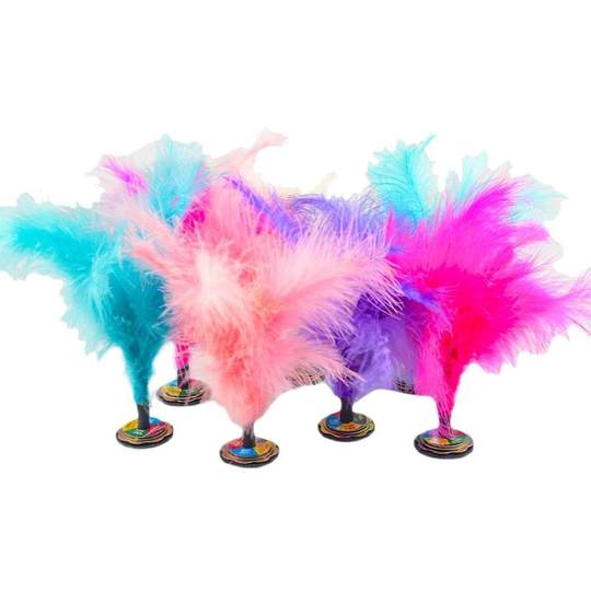 毽子新健牌耐踢大人小学生儿童运动专用专业毽球花毽比赛鸡毛键子