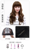 Qi liu Hai Light Brown [Big Cilpp] Дайте пять наборов наборов