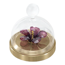 (Chinese Valentines Day gift) Swarovski Garden Tales bell jar hibiscus ornaments decorative collectibles gifts