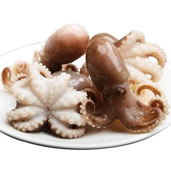 39 yuan limited time grab! 5 jin jin is equal to 0.5 kilograms of fresh ice-free small octopus