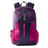 Fir mountaineering outdoor ultra-light mountaineering bag 27 liters for women and men
