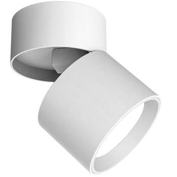 Full spectrum cob surface mounted adjustable angle downlight spotlight