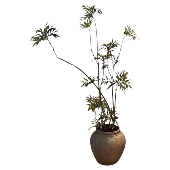 The top ten contributions of artificial trees and simulated green plants on the balcony