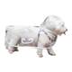 Dog raincoat poncho transparent poncho waterproof