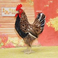 23см, высота 34 см