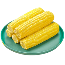 Corn God Fruit Sweet Corn Stick Open Bag Ready-to-use Non-GMO Vacuum Loaded Fresh Fragrant Northeast Coarse Grain