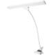 Clip-on desk lamp for reading and reading