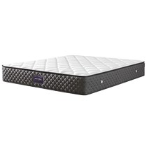 Quanyou Home Simmons mattress home bedroom double hard spine and waist protection coconut palm spring mattress 105265