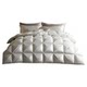 Luolai Germany imported 95 goose down quilt duvet