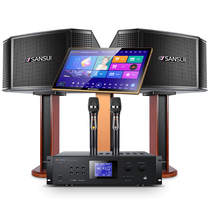 Shanshui M11 high-end home KTV audio set