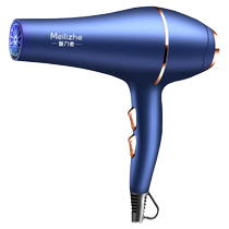 German hair dryer high-power household mute negative ion hair care hot and cold wind hair salon special high wind quick drying