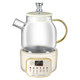 Office small health pot mini tea brewer