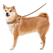 Dog rope training p chain explosion-proof dog walking rope dog rope chain medium p rope large medium and small dog walking dog leash