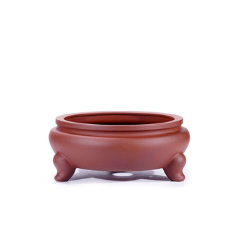 80 styles, five shots and six trays included