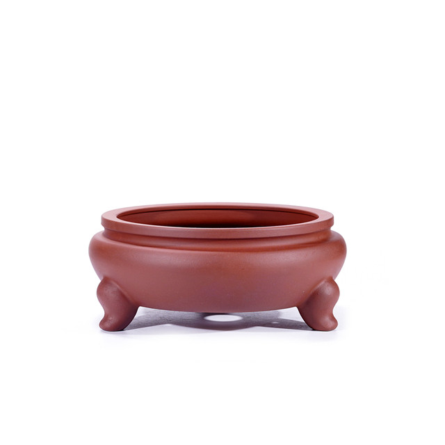 80 styles, five shots and six trays included